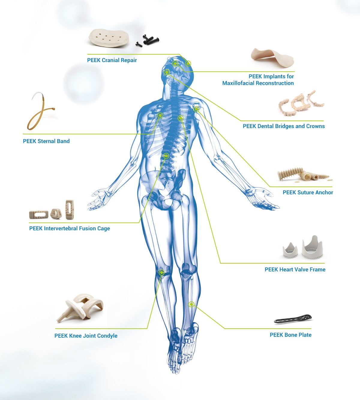 Esquema de aplicaciones en el cuerpo humano