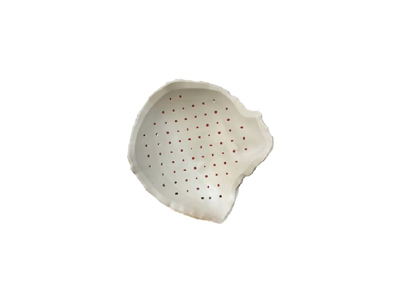 Placa de craneoplastia de PEEK